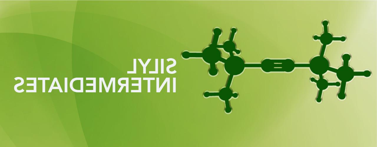 Silyl Intermediates